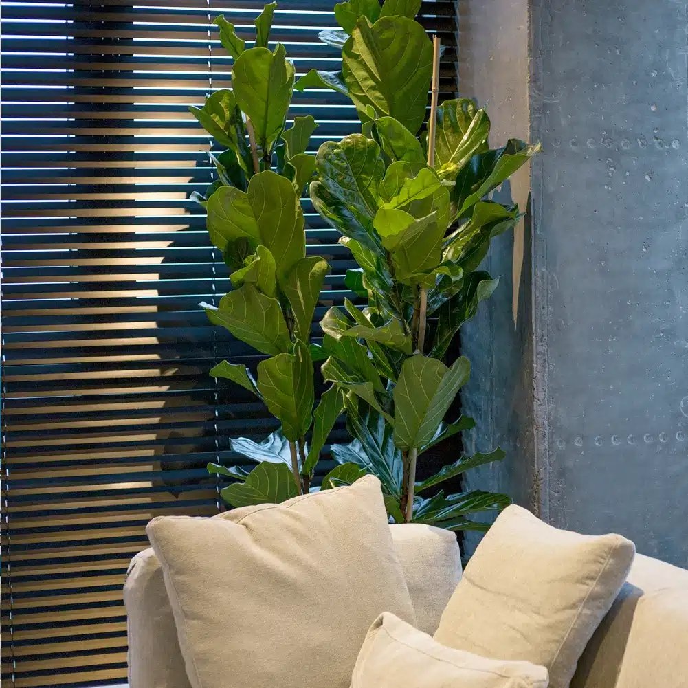 25mm Aluminium Venetian Blind - Onyx - Image 4