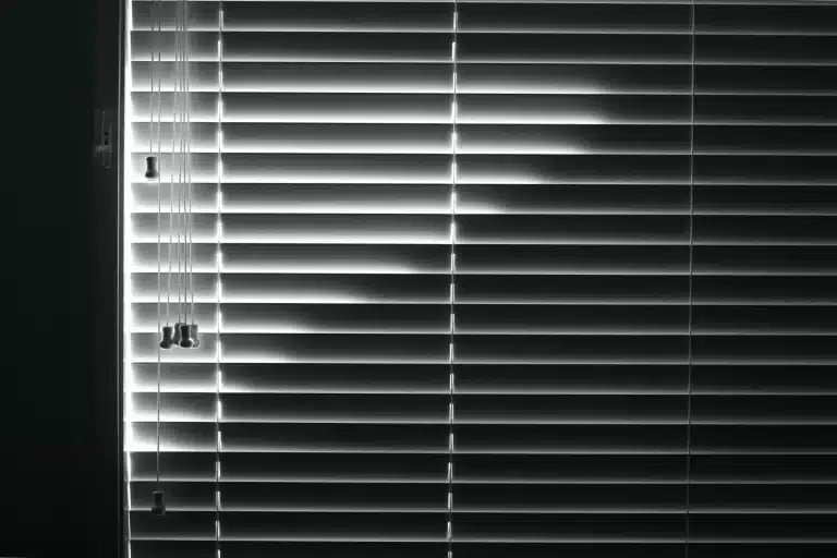Venetian Blinds scaled 1