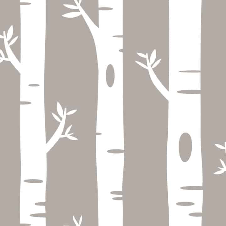 Kids Wallpaper - Birch Tree - Khaki