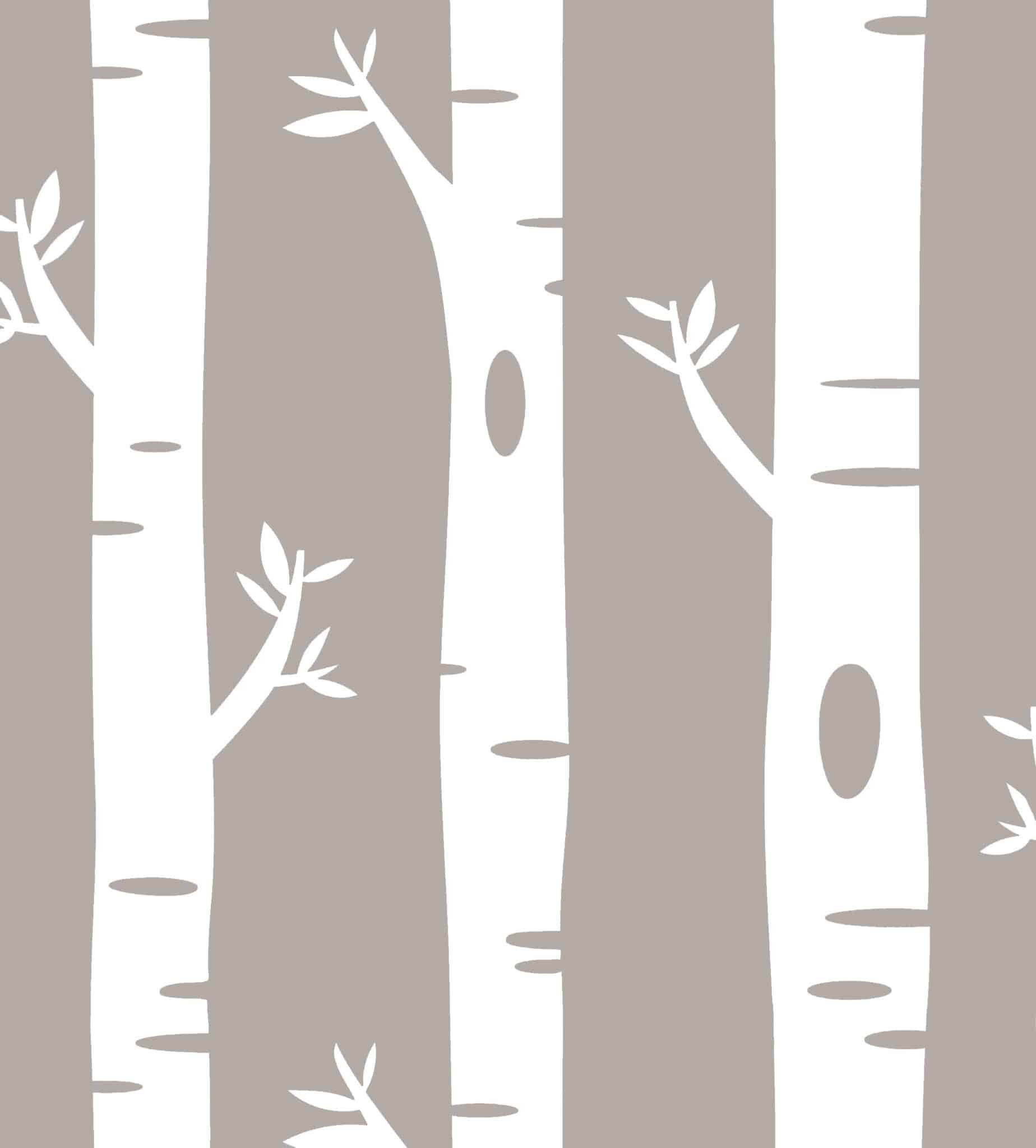Kids Wallpaper - Birch Tree - Khaki