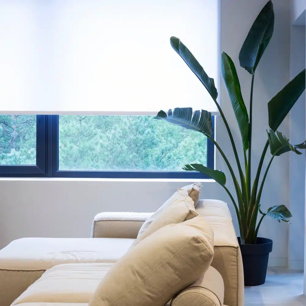 Trim to Fit Sheer Roller Blinds - Image 8